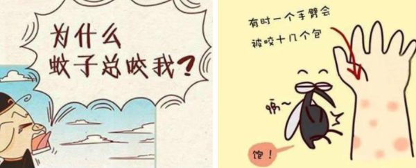 蚊子喜欢什么血型？-跟血型无关