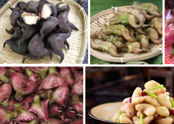 菱角可以冷冻保存多久？一周1.png