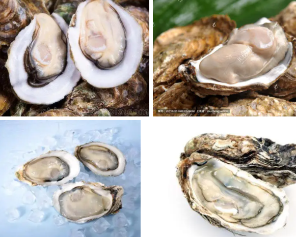 牡蛎在冰箱里可以保存多久？
