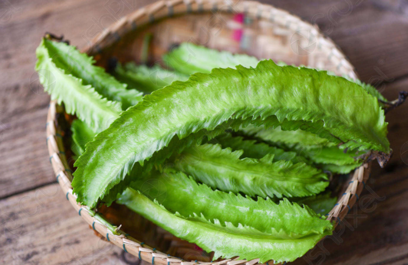 四棱豆是什么 吃四棱豆的5大好处1.png