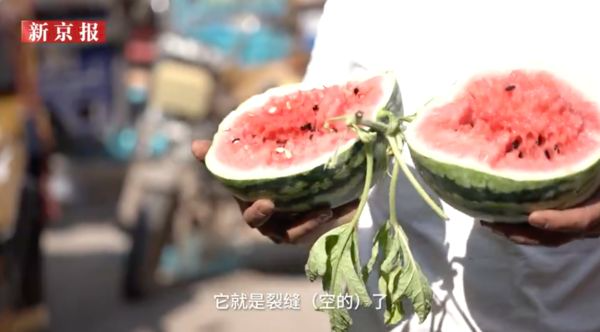 买西瓜怎么看甜不甜?验瓜师分享诀窍